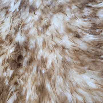 Natural Shaped Pet Rug - lifestyle
