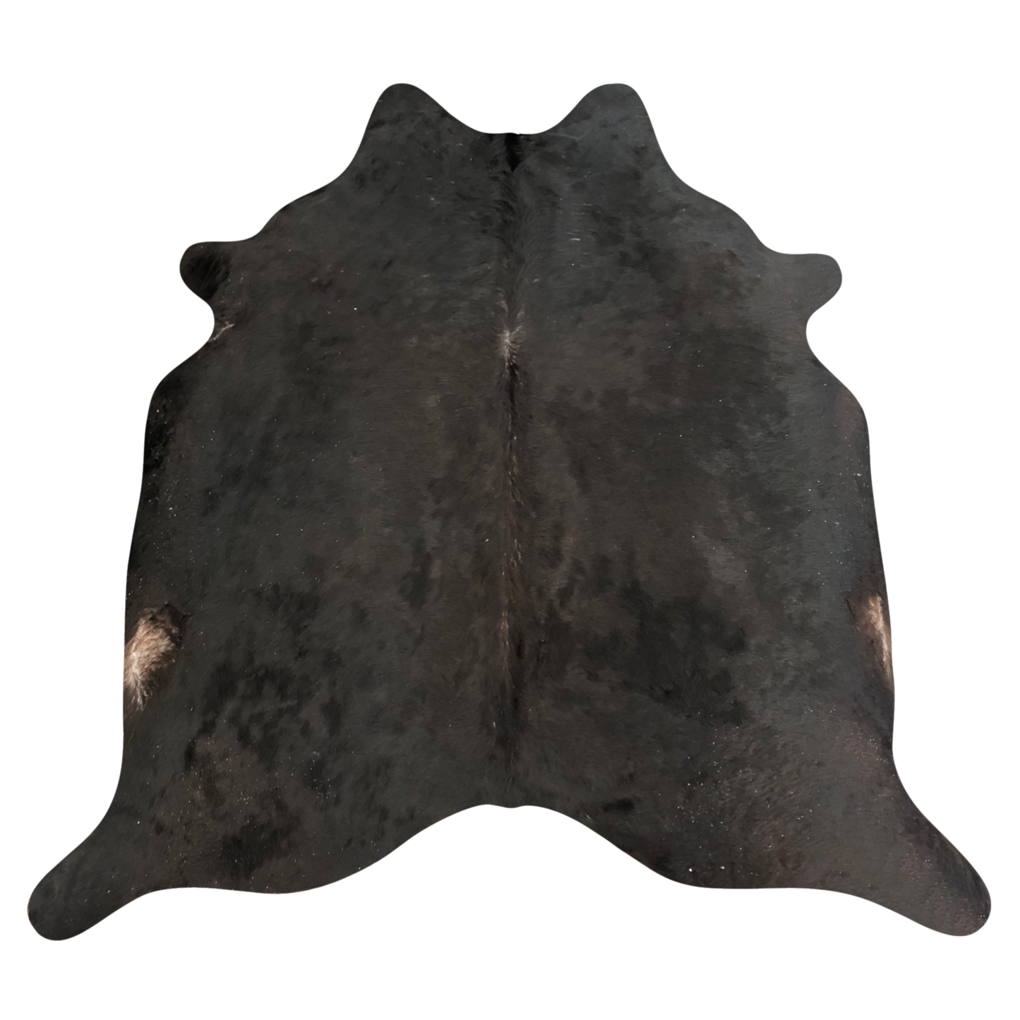 Natural Brazilian cowhide rug in Espresso & Ivory with exotic markings, 238 x 233 cm