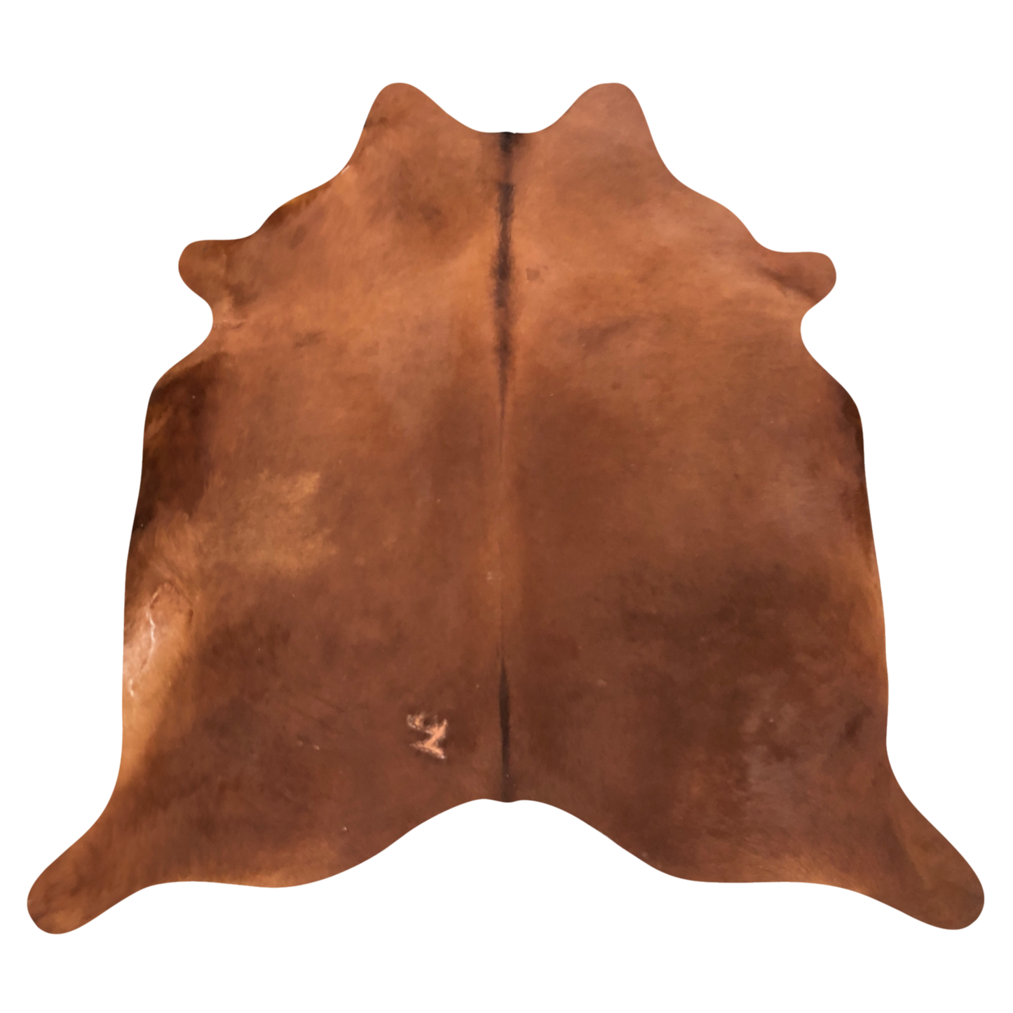 Natural Brazilian cowhide rug in Mocha with a solid, even tone, 234 x 240 cm