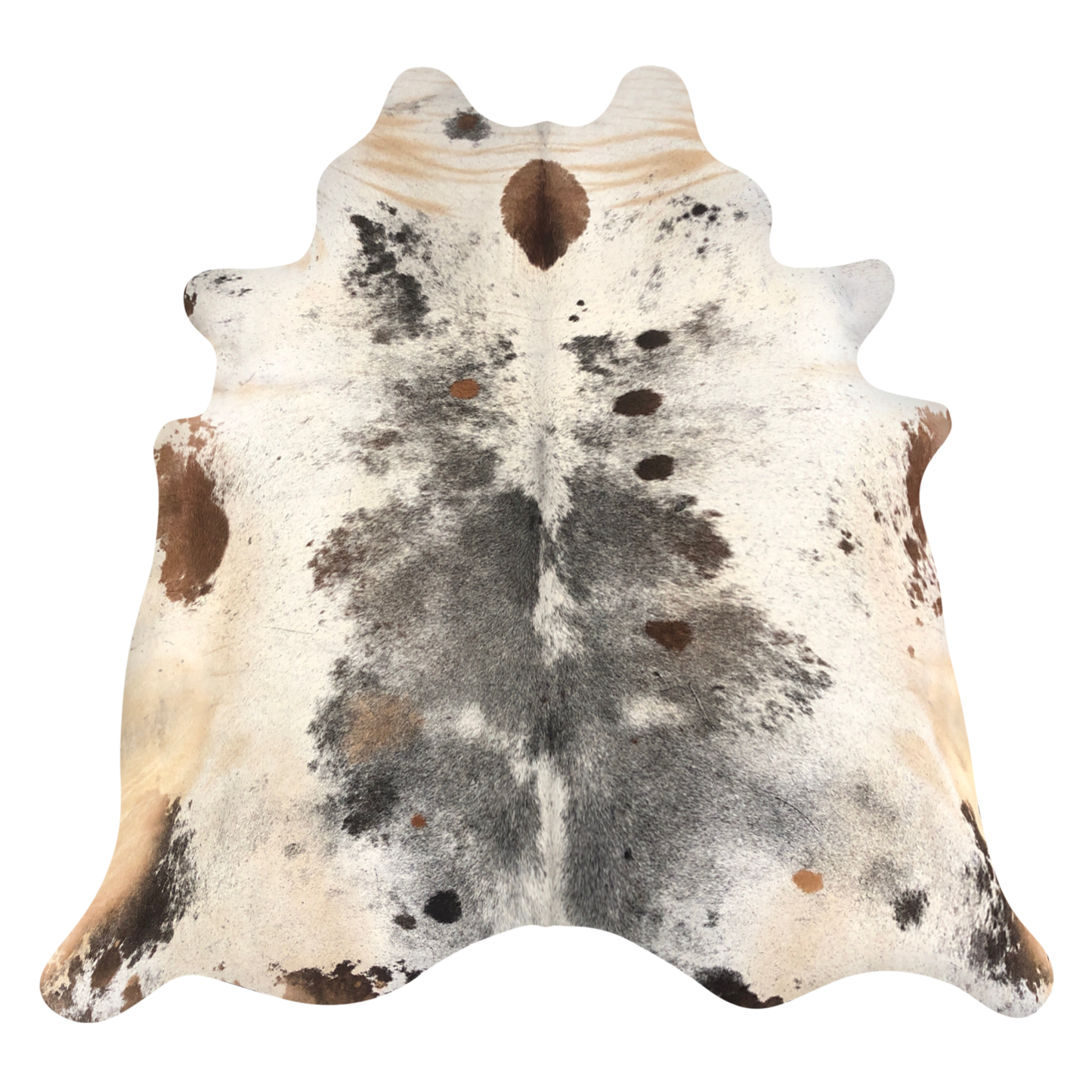 Natural Brazilian cowhide rug in Espresso, Ivory & Mocha with exotic markings, 235 x 224 cm