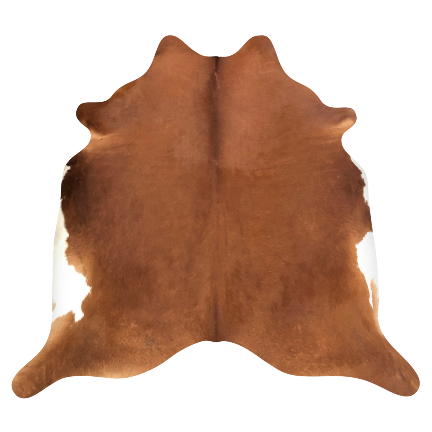 Natural Brazilian cowhide rug in Mocha & Ivory with exotic markings, 220 x 235 cm