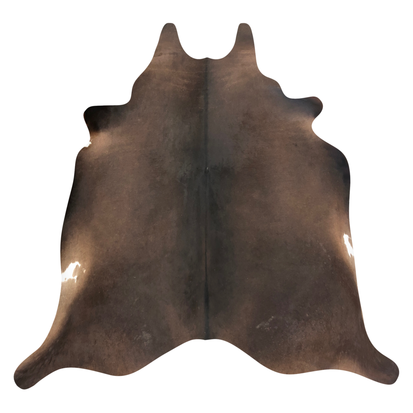 Natural Brazilian cowhide rug in Espresso, Caramel & Ivory with Exotic markings, 223 x 232 cm
