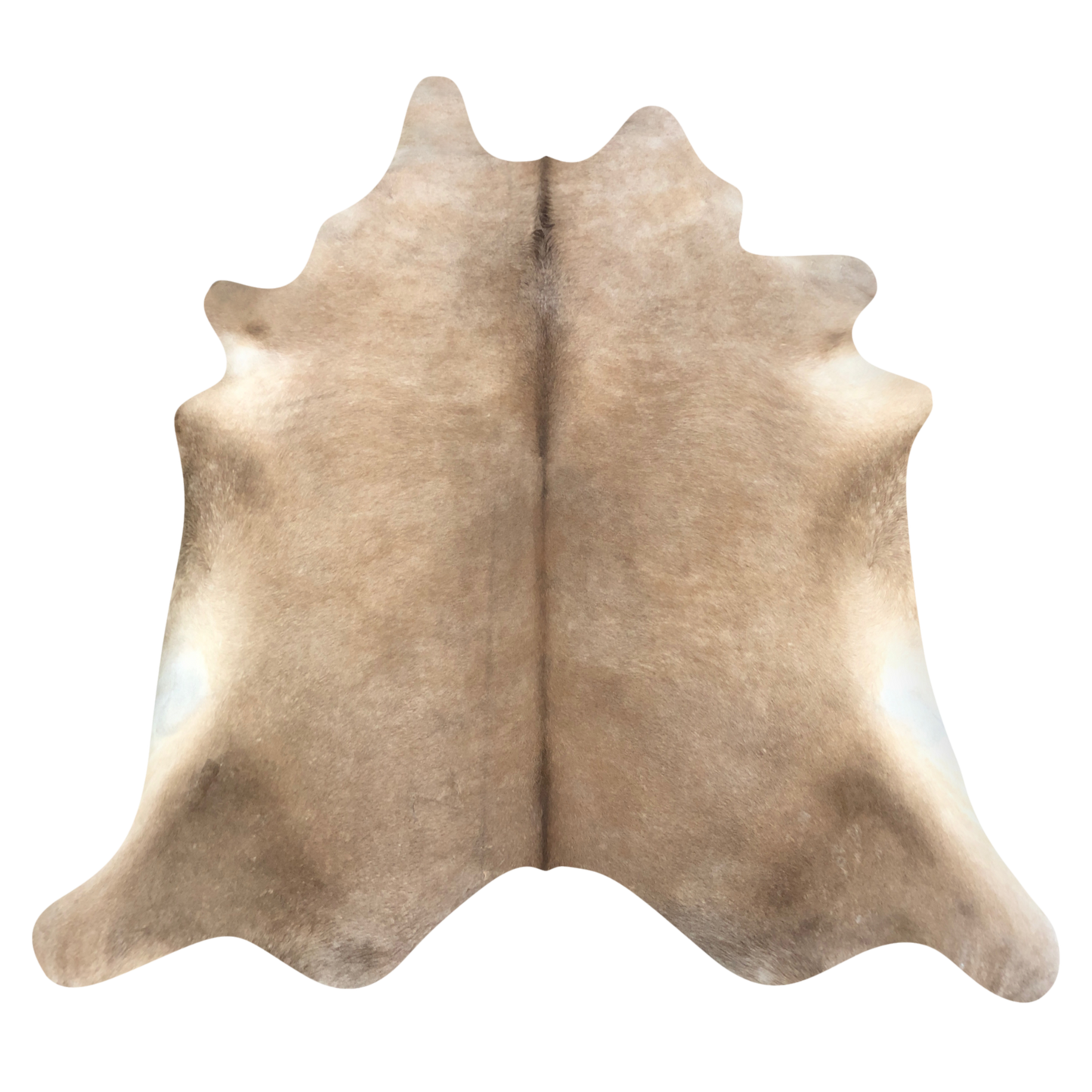Natural Brazilian cowhide rug in Caramel & Ivory with Exotic markings, 206 x 234 cm
