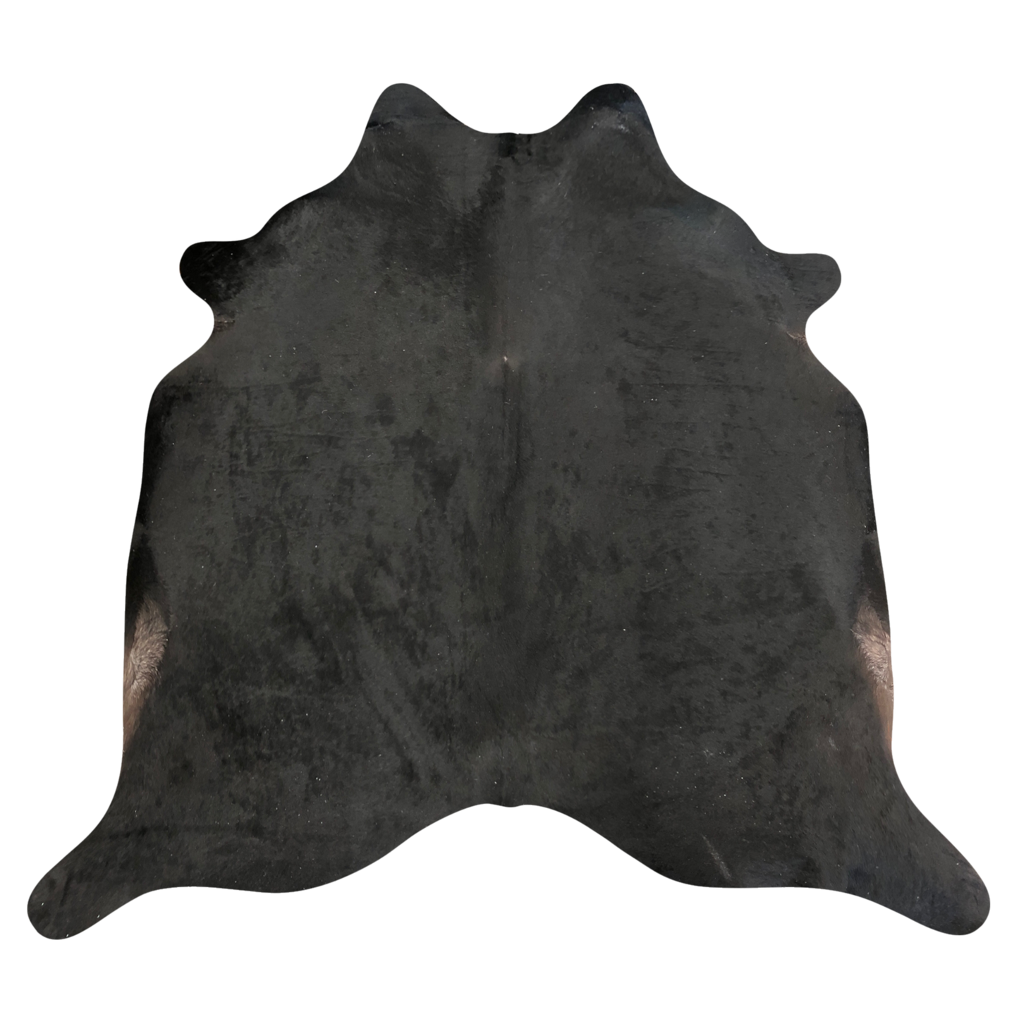 Natural Brazilian cowhide rug in Espresso with a solid, even tone, 214 x 230 cm