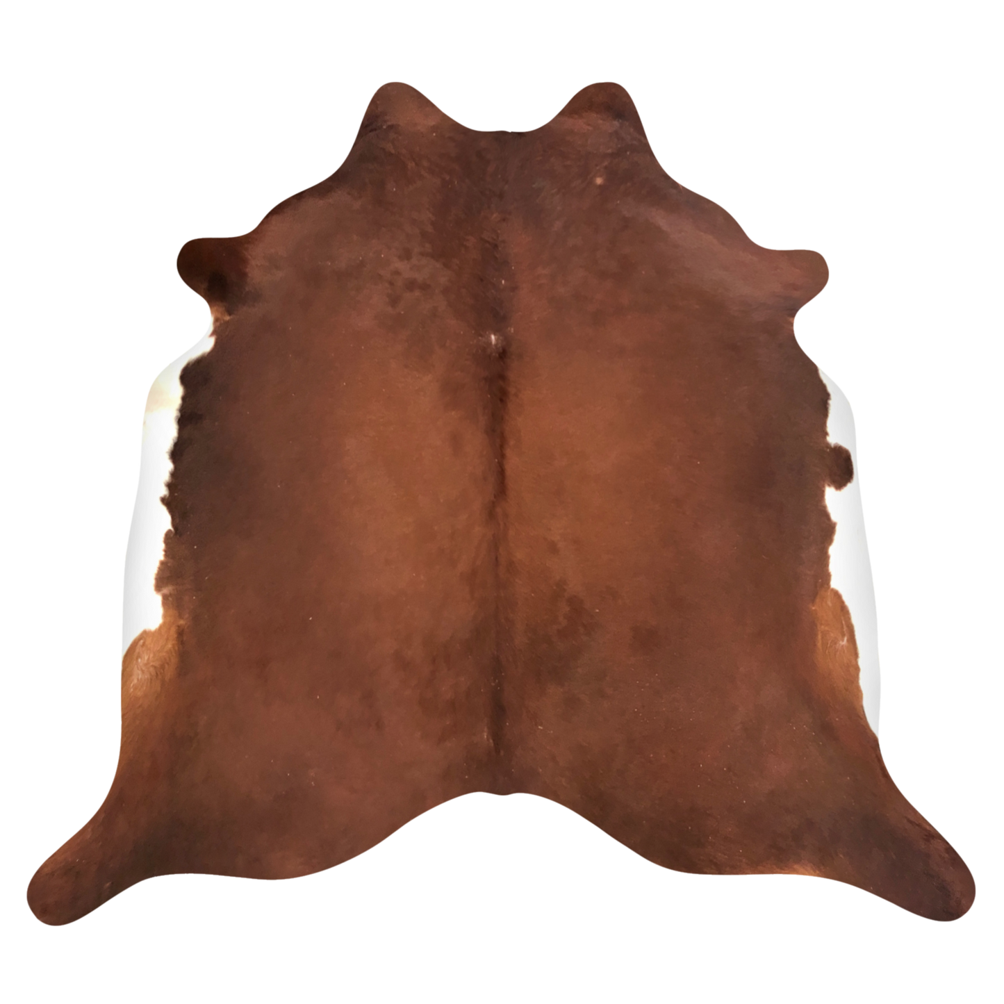 Natural Brazilian cowhide rug in Mocha & Ivory with Exotic markings, 225 x 236 cm