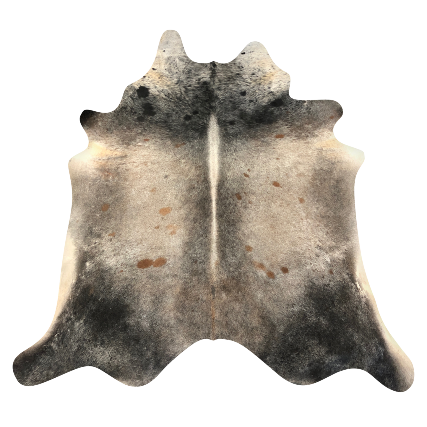 Natural Brazilian cowhide rug in Espresso, Beige & Mocha with Exotic markings, 210 x 226 cm