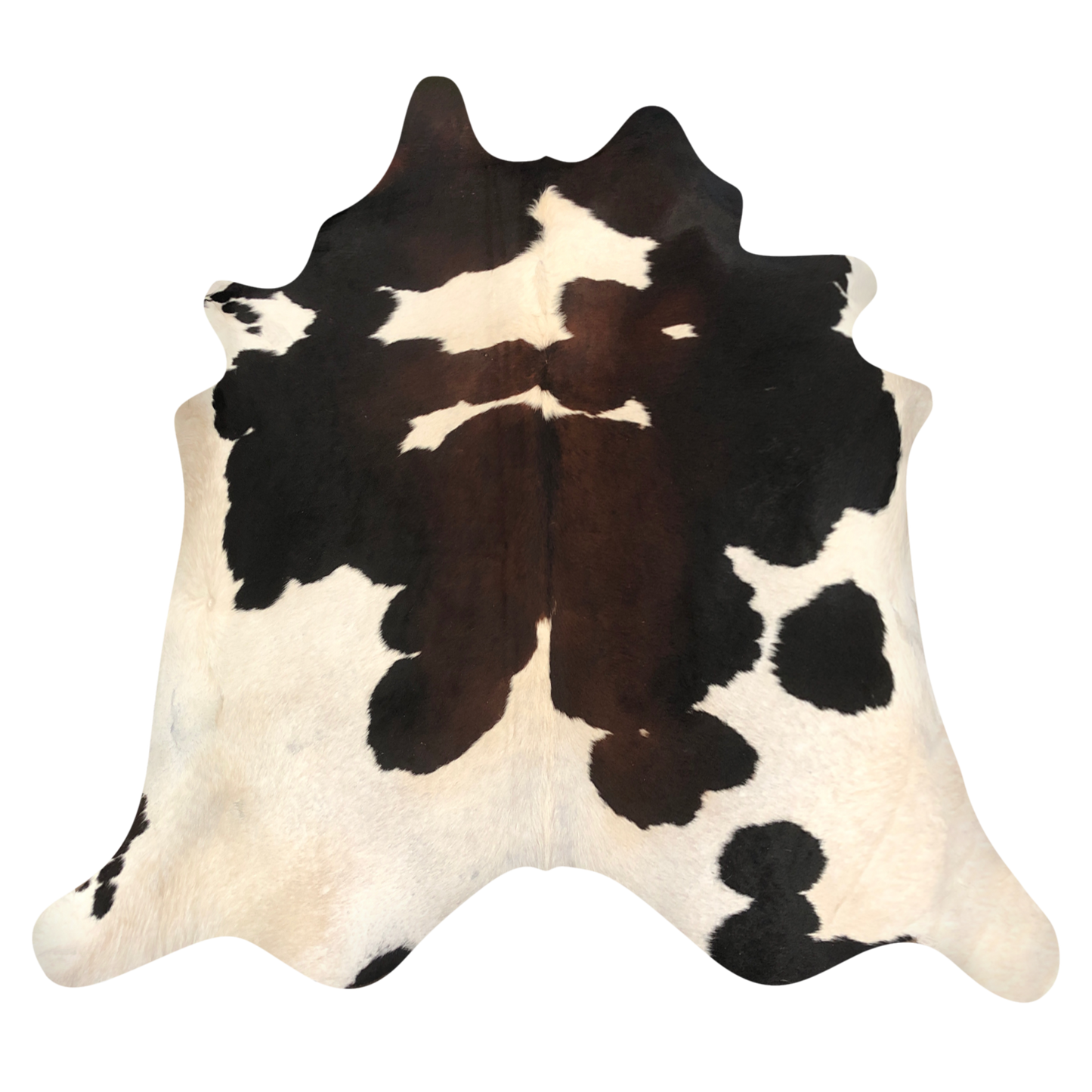 Natural Brazilian cowhide rug in Ivory, Mocha & Espresso with Exotic markings, 230 x 250 cm