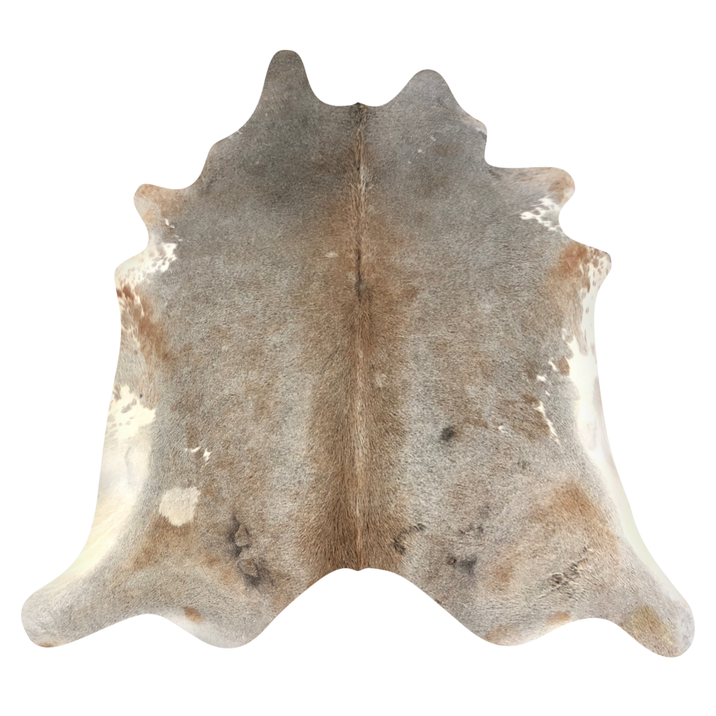 Natural Brazilian cowhide rug in Taupe, Caramel & Ivory with Exotic markings, 228 x 238 cm