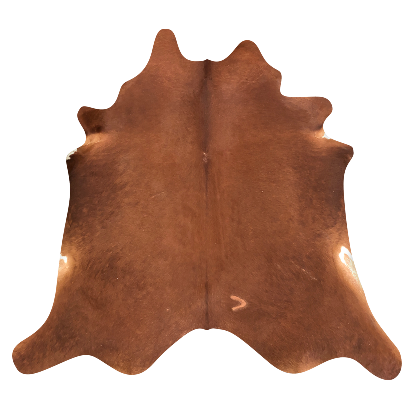 Natural Brazilian cowhide rug in Mocha & Ivory with Exotic markings, 212 x 233 cm