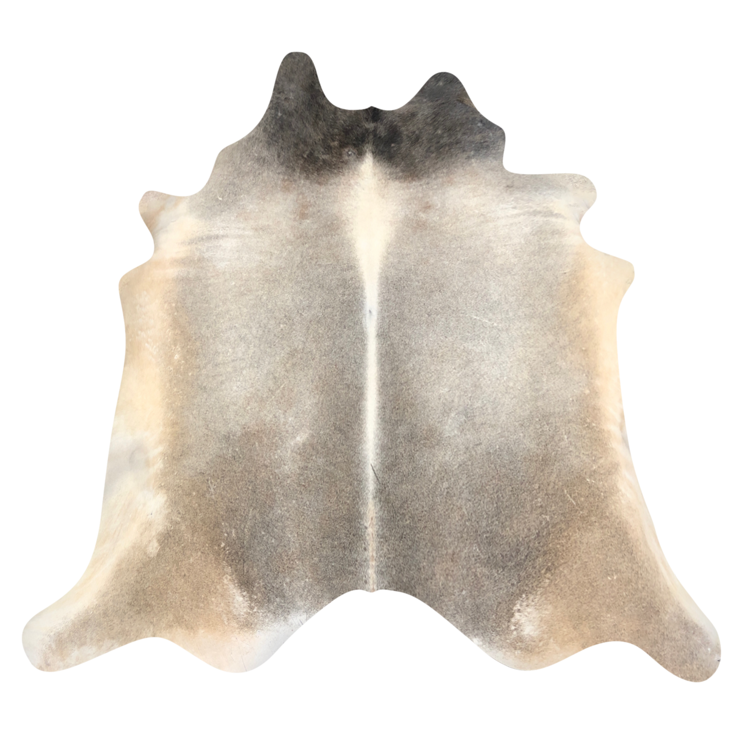 Natural Brazilian cowhide rug in Taupe, Beige & Ivory with Exotic markings, 230 x 250 cm