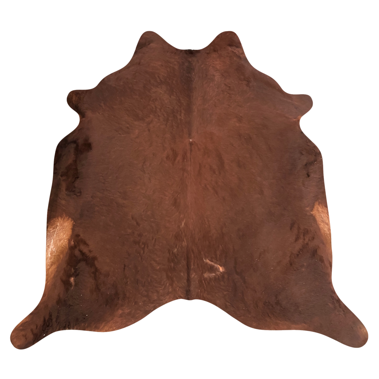 Natural Brazilian cowhide rug in Mocha with a solid, even tone, 228 x 234 cm