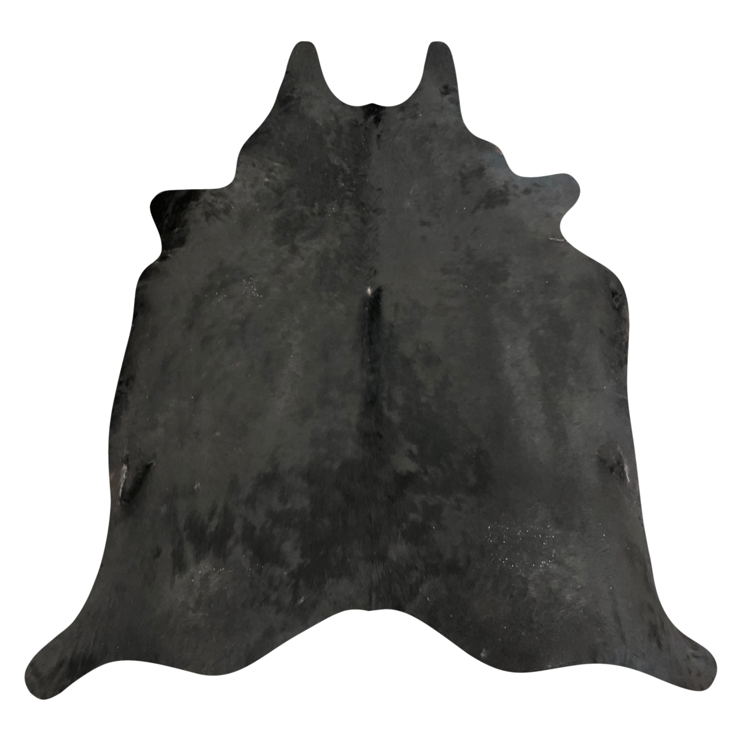 Natural Brazilian cowhide rug in Espresso with a solid, even tone, 222 x 235 cm