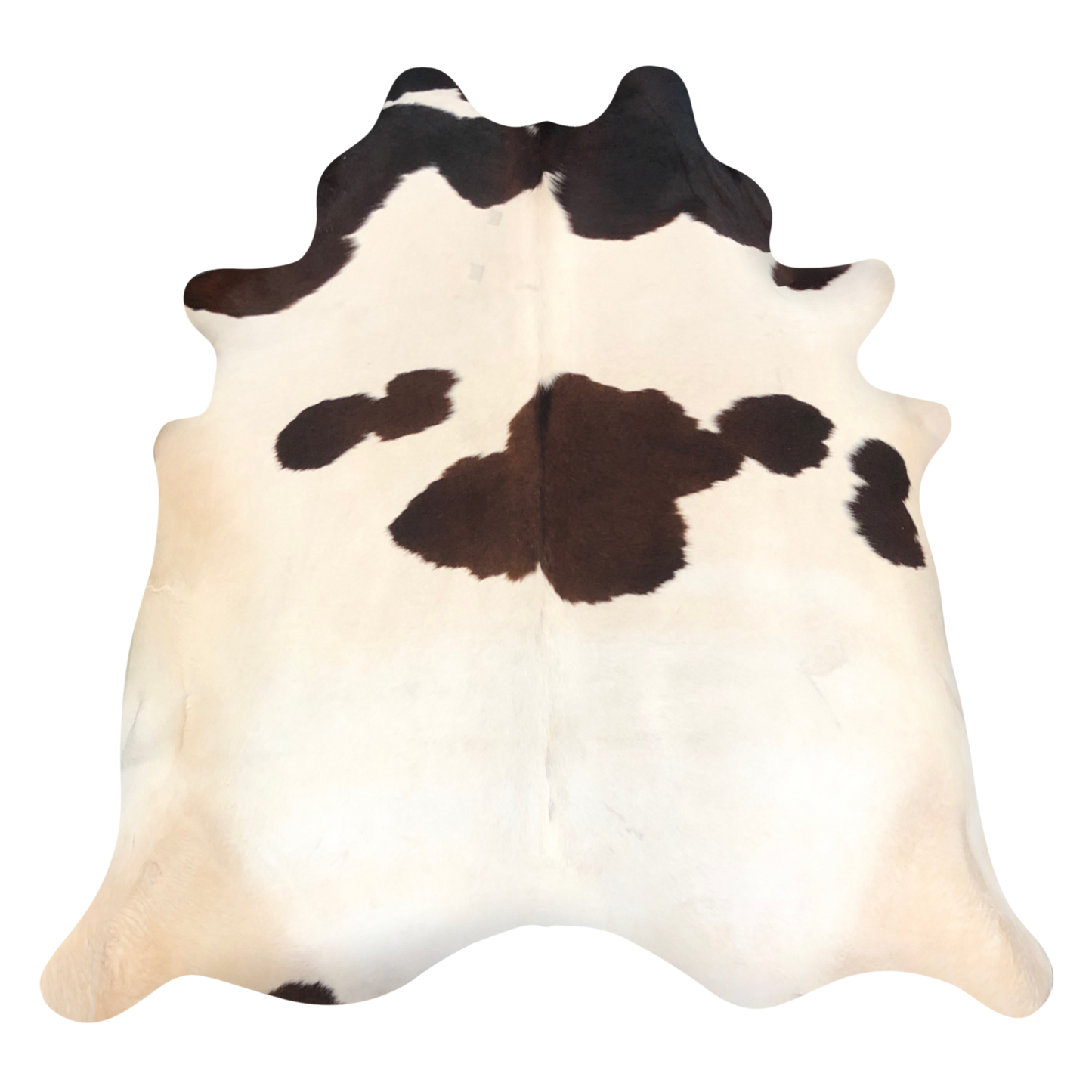 Natural Brazilian cowhide rug in Ivory, Mocha & Espresso with Exotic markings, 226 x 238 cm