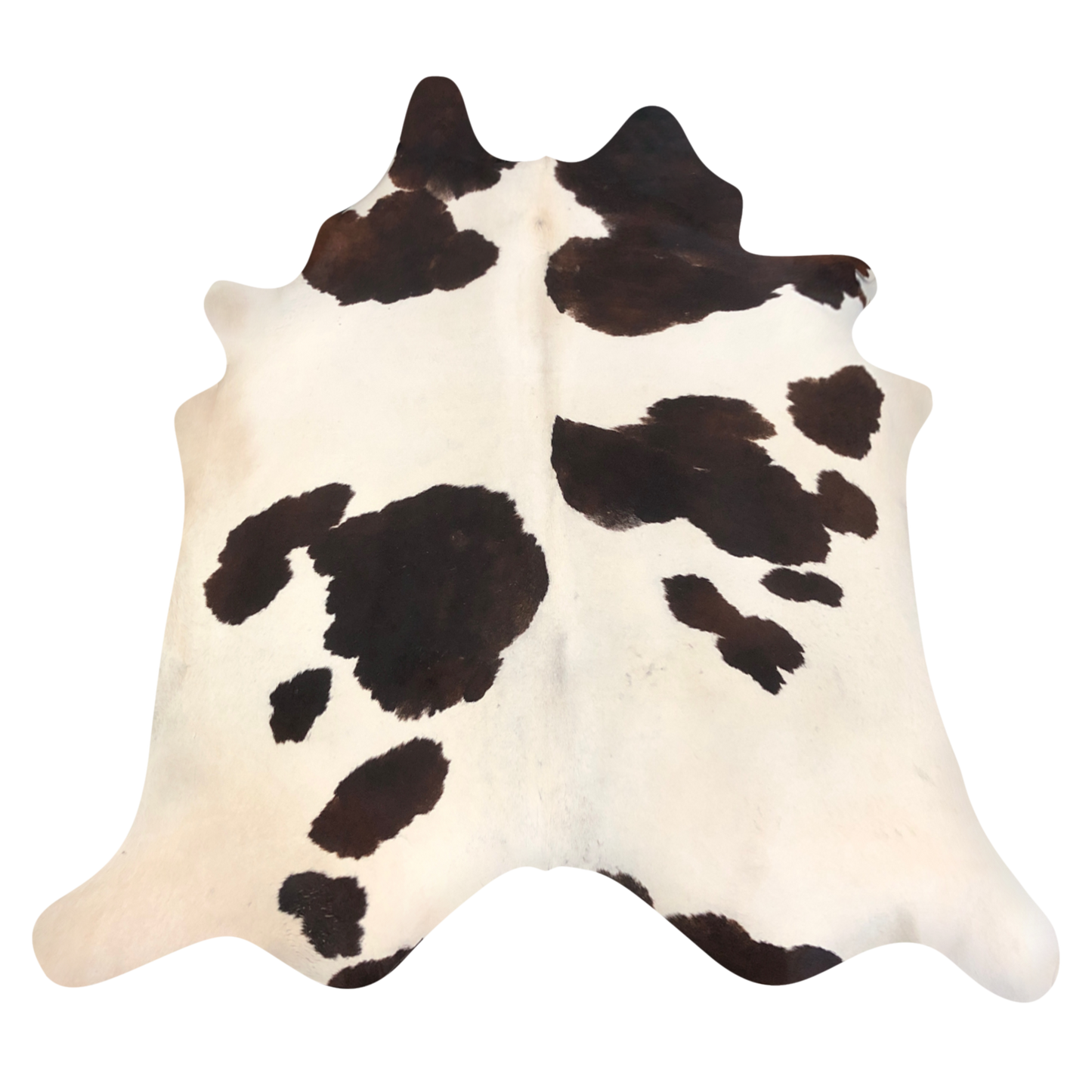 Natural Brazilian cowhide rug in Ivory, Espresso & Mocha with Exotic markings, 212 x 240 cm