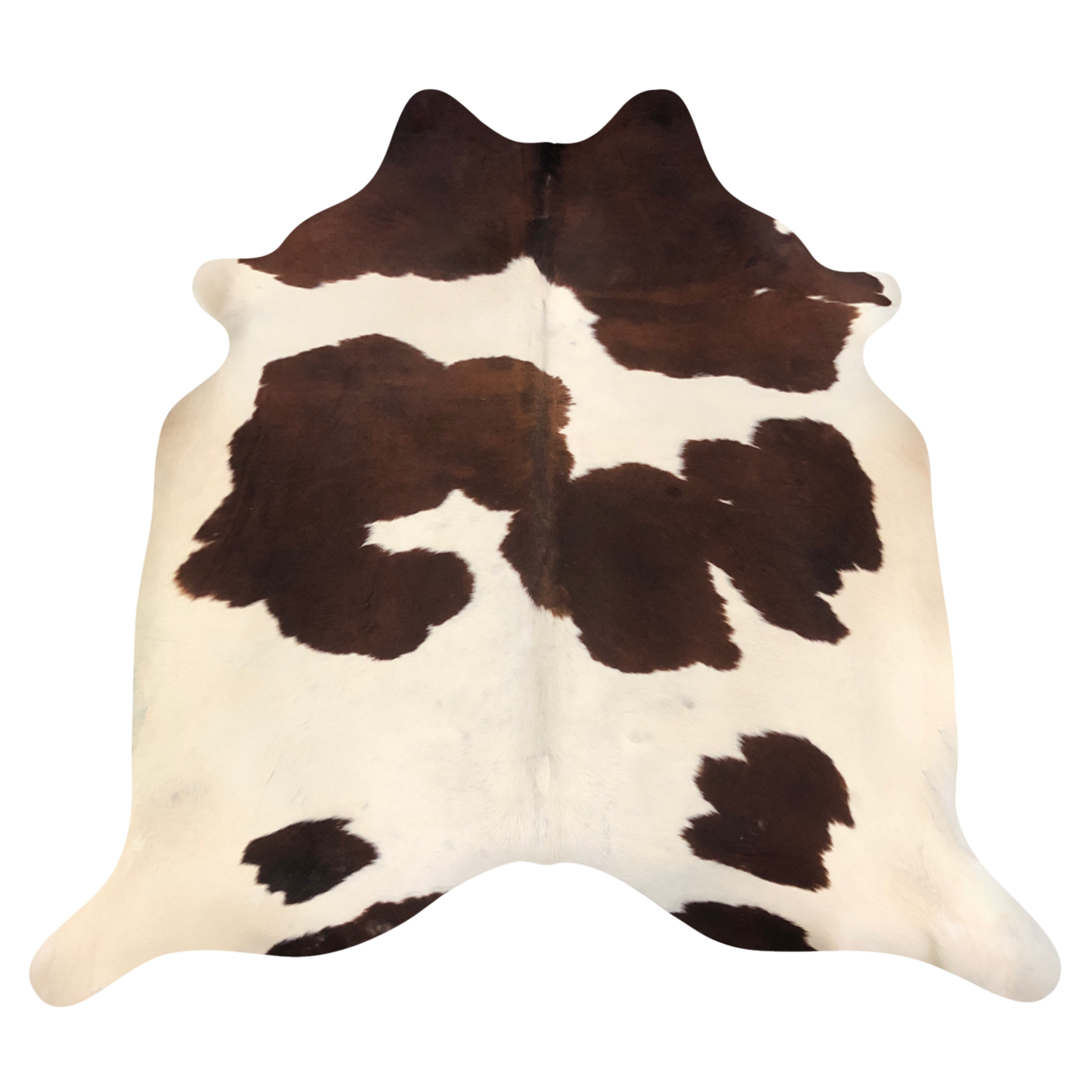 Natural Brazilian cowhide rug in Mocha & Ivory with Exotic markings, 200 x 234 cm
