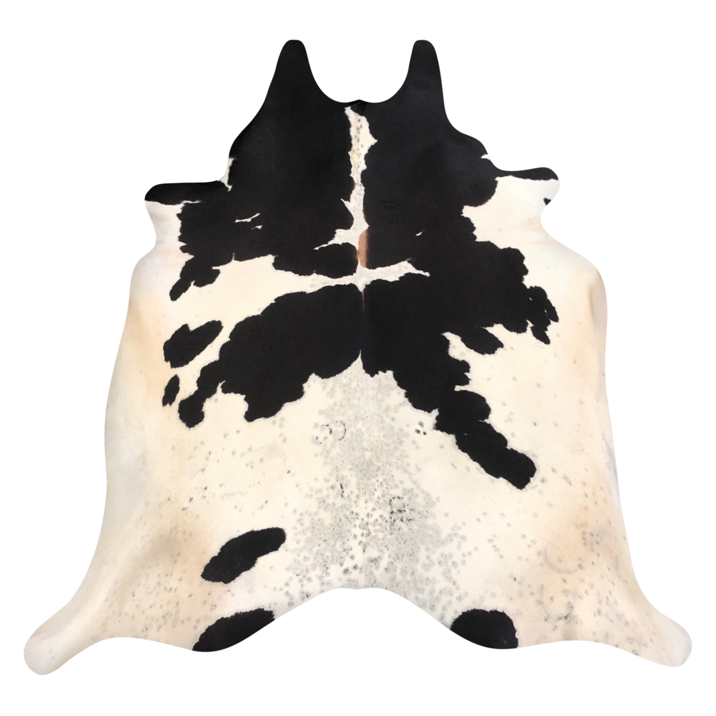 Natural Brazilian cowhide rug in Espresso, Ivory & Taupe with Exotic markings, 235 x 246 cm