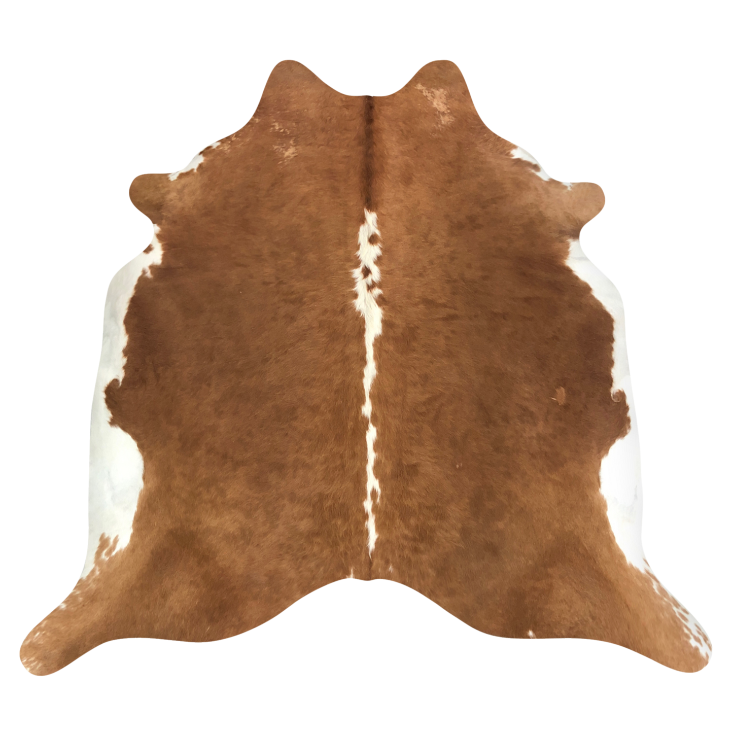 Natural Brazilian cowhide rug in Mocha & Ivory with Exotic markings, 214 x 230 cm