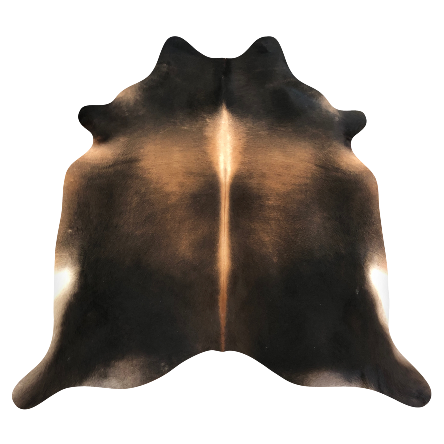 Natural Brazilian cowhide rug in Espresso, Caramel & Ivory with Exotic markings, 218 x 233 cm