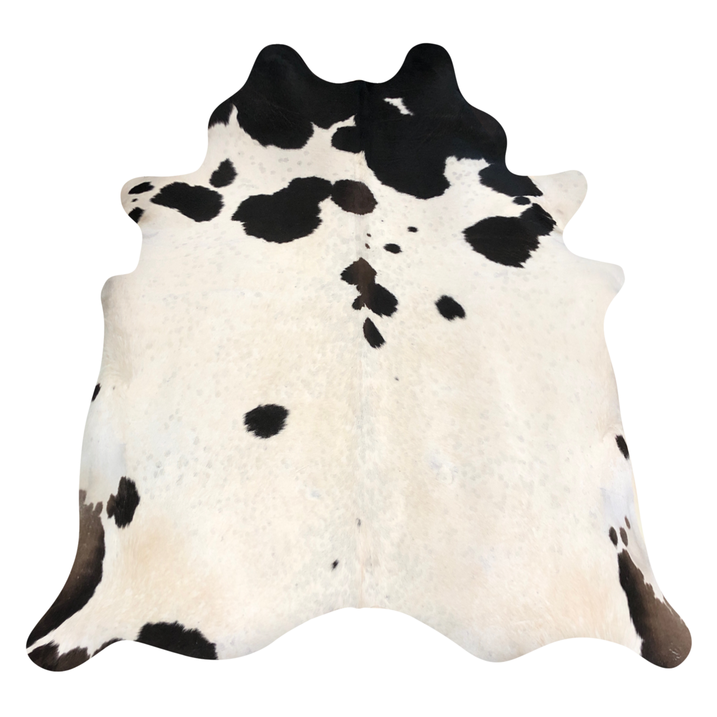 Natural Brazilian cowhide rug in Beige, Espresso & Taupe with Exotic markings, 212 x 228 cm