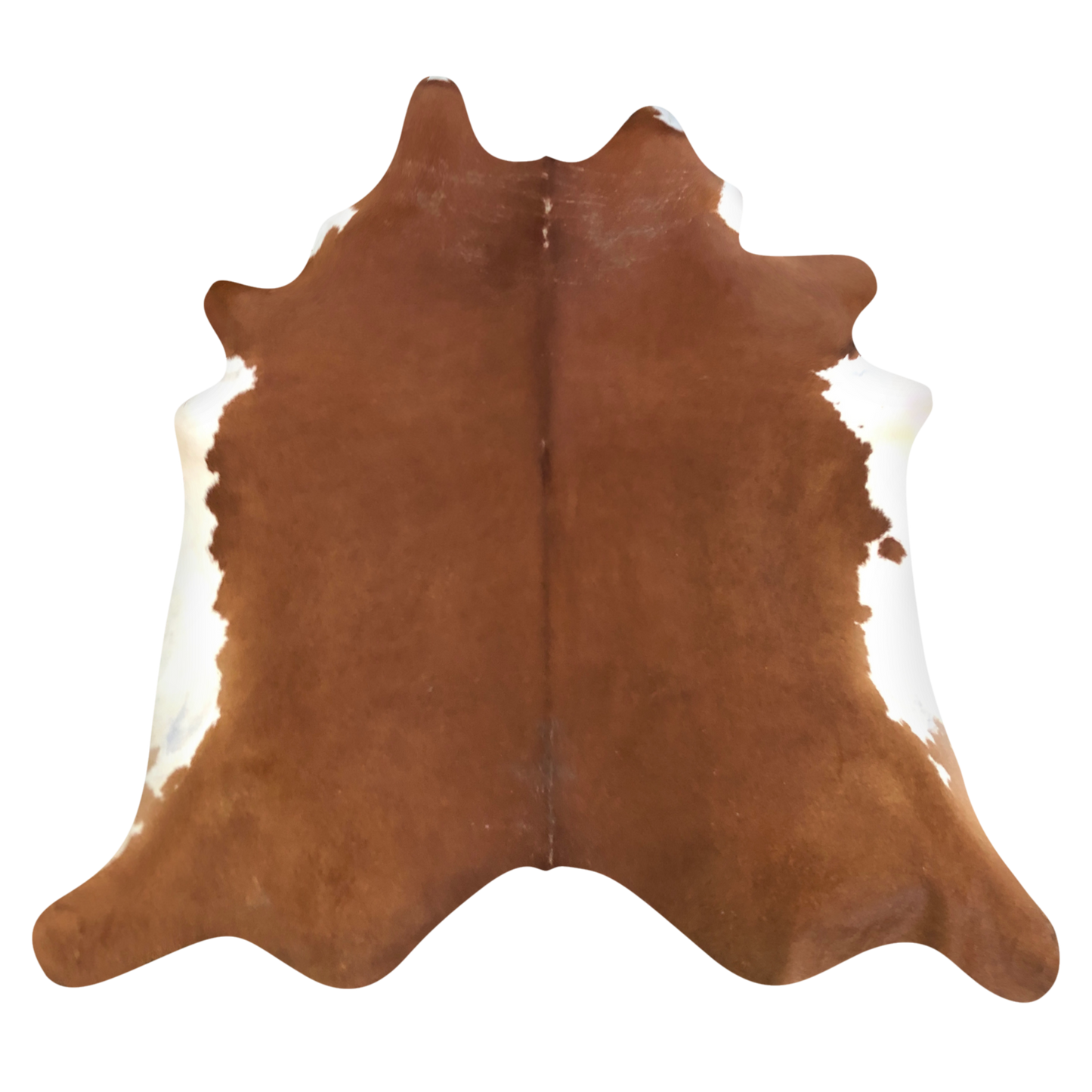 Natural Brazilian cowhide rug in Mocha & Ivory with Exotic markings, 200 x 230 cm