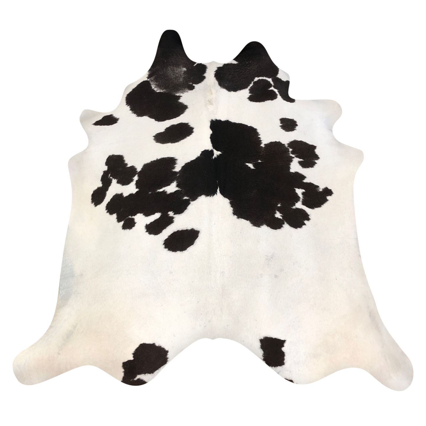 Natural Brazilian cowhide rug in Ivory & Espresso with Exotic markings, 220 x 238 cm