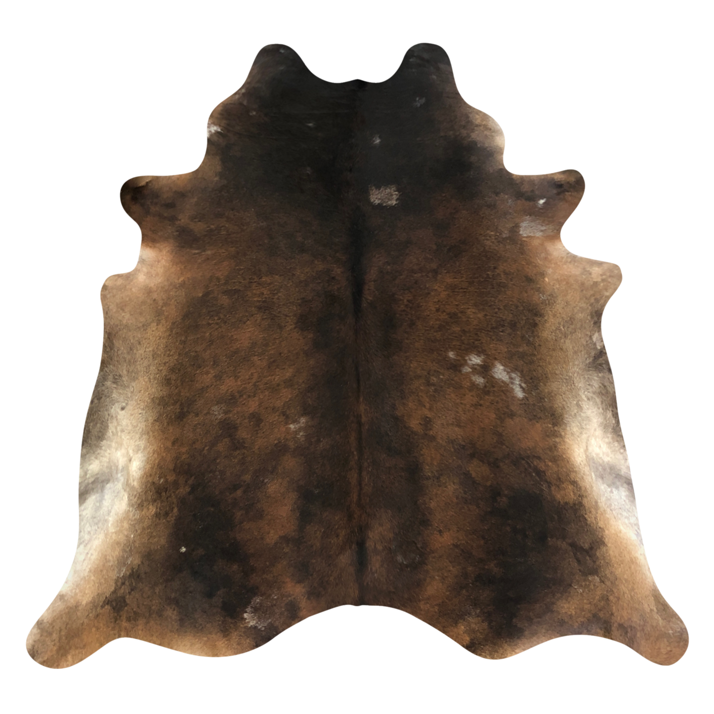 Natural Brazilian cowhide rug in Mocha, Espresso & Ivory with Exotic markings, 212 x 240 cm