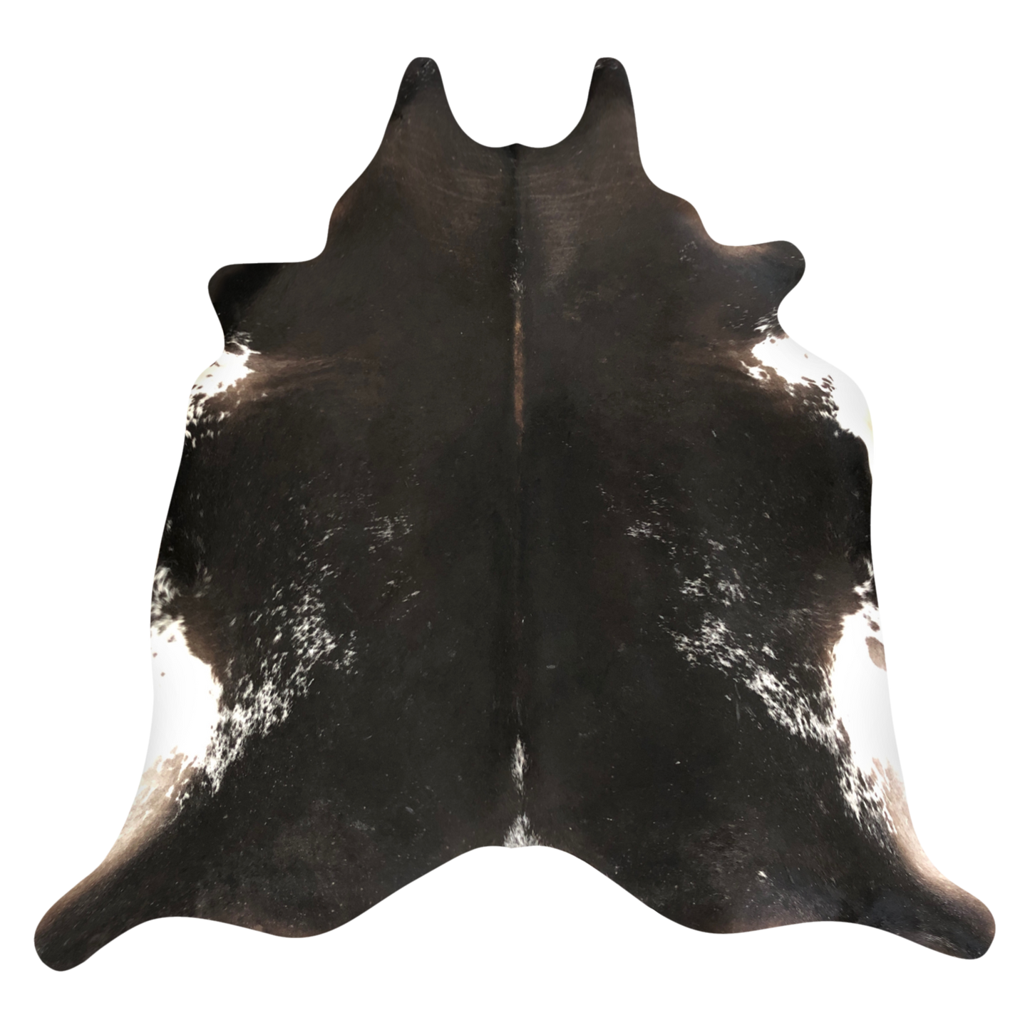 Natural Brazilian cowhide rug in Espresso & Ivory with Exotic markings, 210 x 242 cm