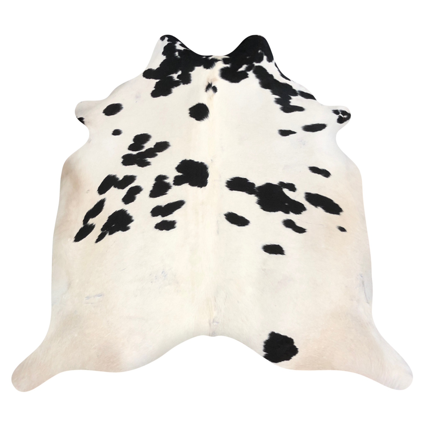 Natural Brazilian cowhide rug in Ivory & Espresso with Exotic markings, 224 x 238 cm