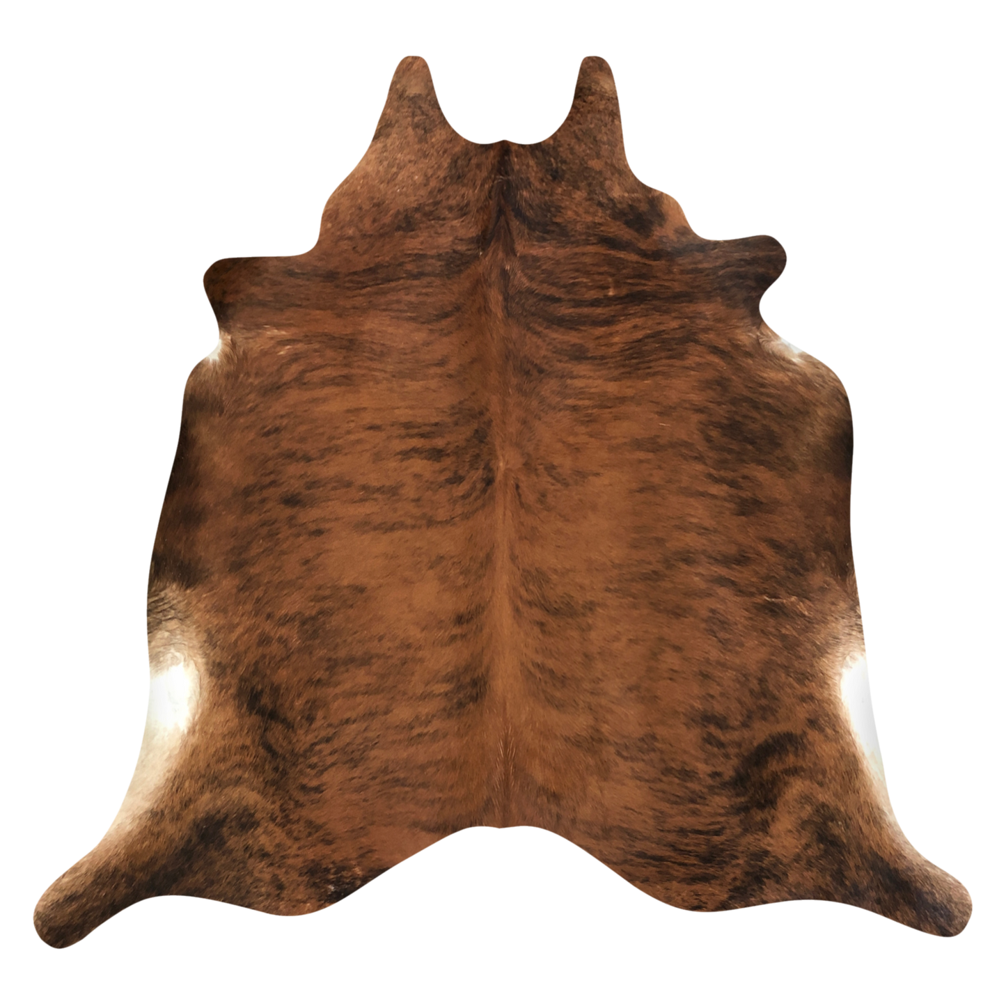 Natural Brazilian cowhide rug in Mocha, Espresso & Ivory with Brindle markings, 214 x 232 cm