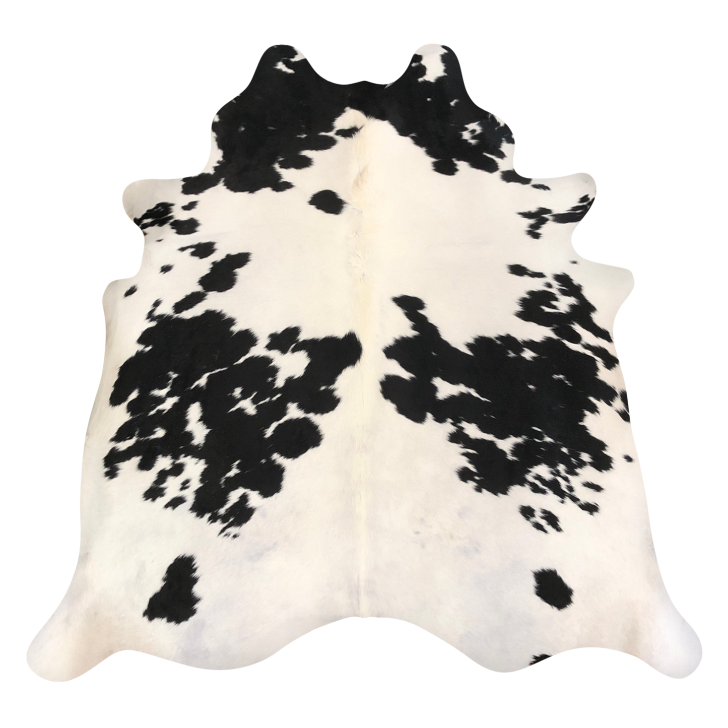 Natural Brazilian cowhide rug in Ivory & Espresso with Exotic markings, 203 x 218 cm