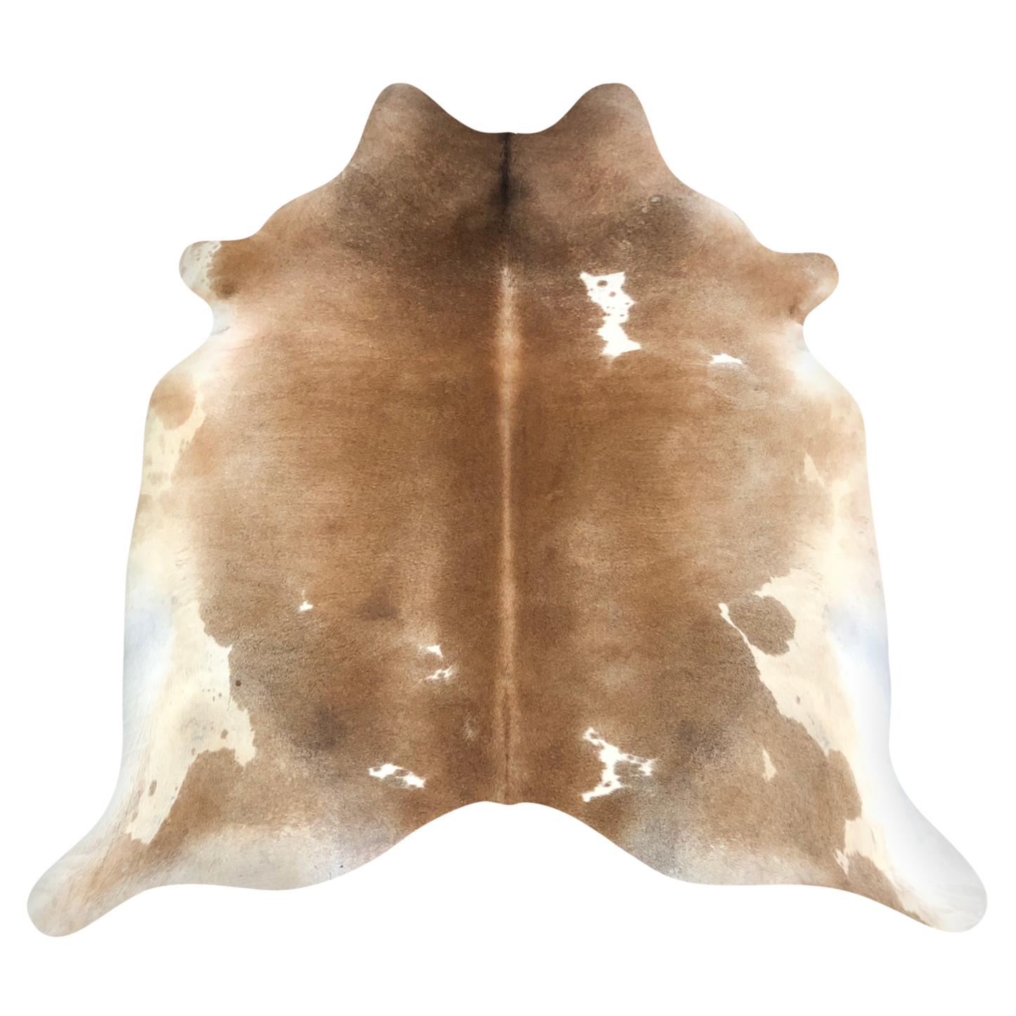 Natural Brazilian cowhide rug in Caramel & Ivory with Exotic markings, 220 x 223 cm