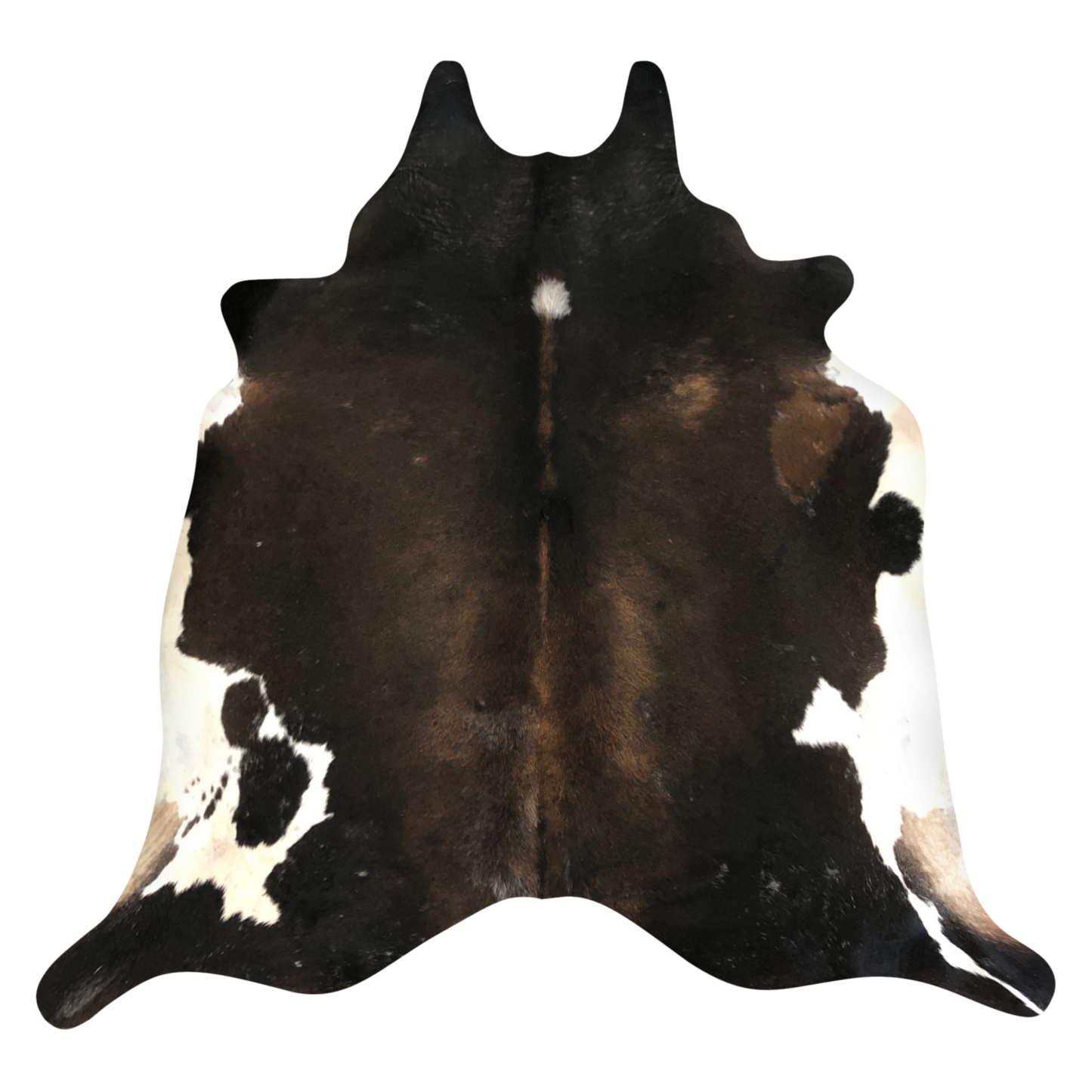 Natural Brazilian cowhide rug in Espresso, Chocolate & Ivory with Exotic markings, 190 x 235 cm