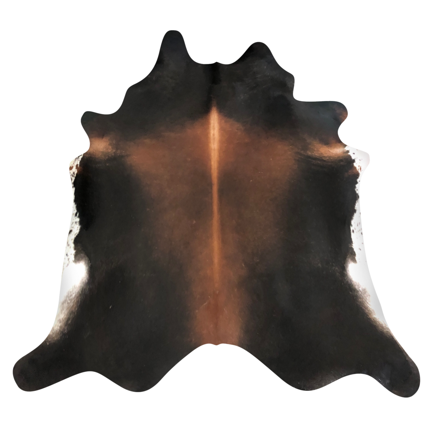 Natural Brazilian cowhide rug in Espresso, Mocha & Ivory with Exotic markings, 198 x 240 cm