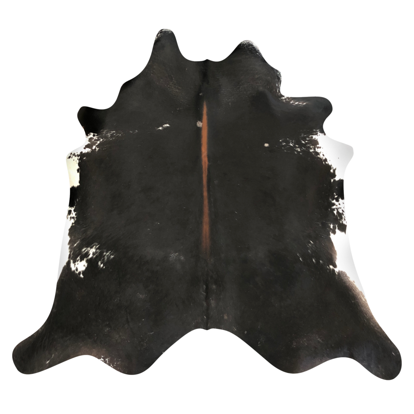 Natural Brazilian cowhide rug in Espresso, Mocha & Ivory with Exotic markings, 204 x 243 cm