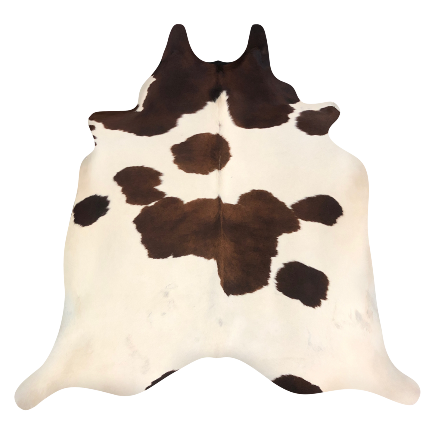 Natural Brazilian cowhide rug in Espresso, Mocha & Chocolate with Exotic markings, 213 x 237 cm
