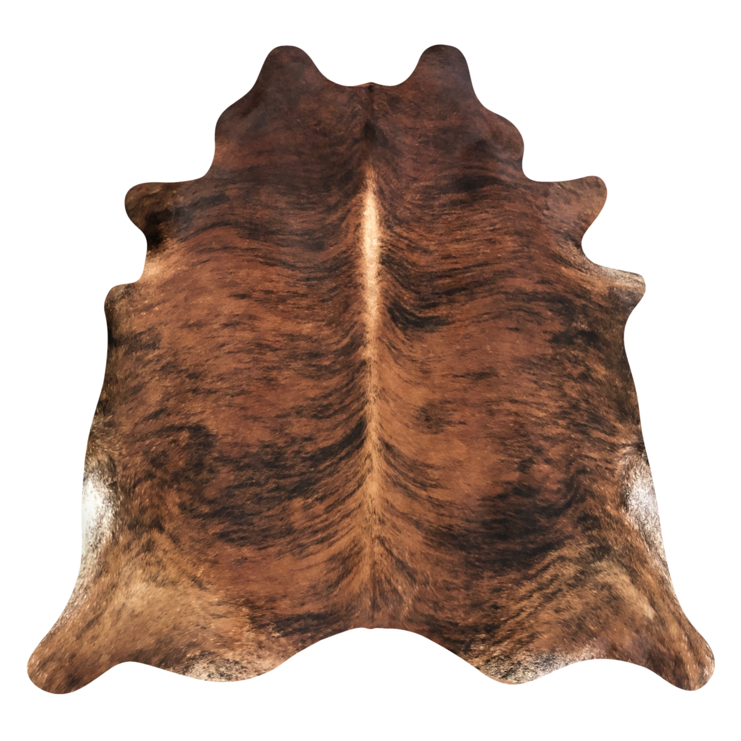 Natural Brazilian cowhide rug in Mocha, Espresso & Ivory with Brindle markings, 212 x 234 cm