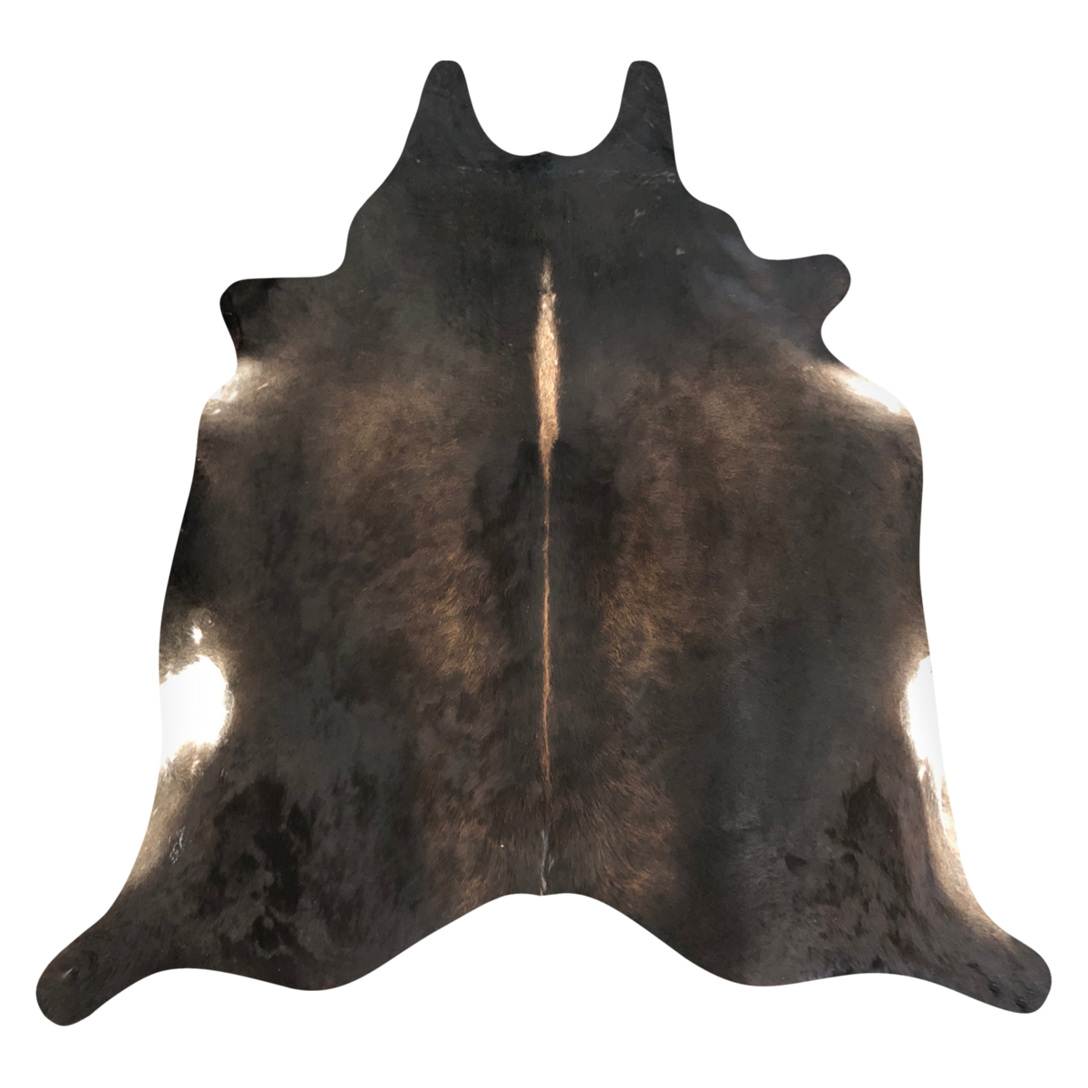 Natural Brazilian cowhide rug in Espresso, Caramel & Ivory with exotic markings, 228 x 270 cm