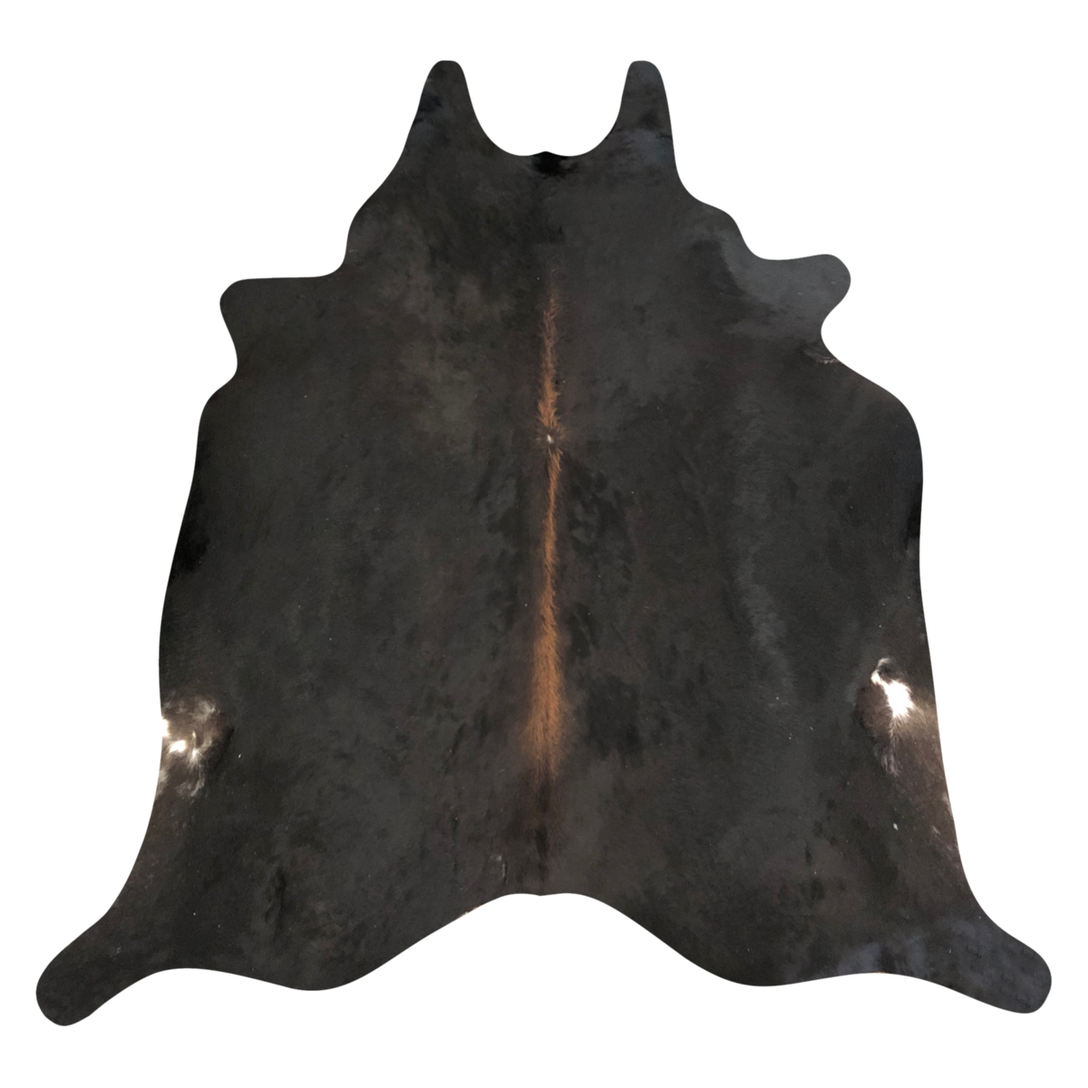 Natural Brazilian cowhide rug in Espresso, Mocha & Ivory with exotic markings, 210 x 250 cm