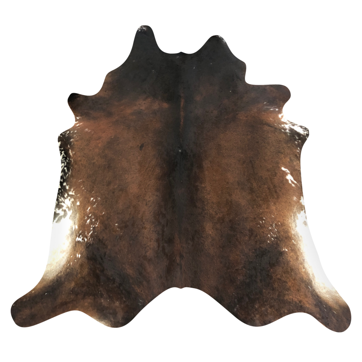 Natural Brazilian cowhide rug in Mocha, Espresso & Ivory with exotic markings, 228 x 240 cm