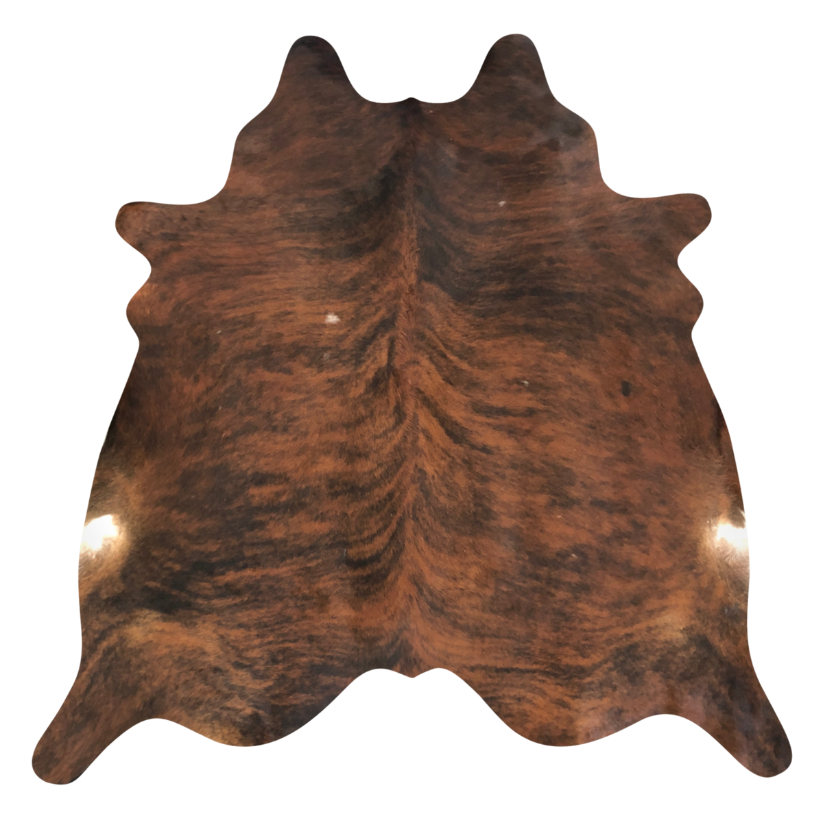 Natural Brazilian cowhide rug in Mocha, Espresso & Ivory with brindle markings, 210 x 252 cm