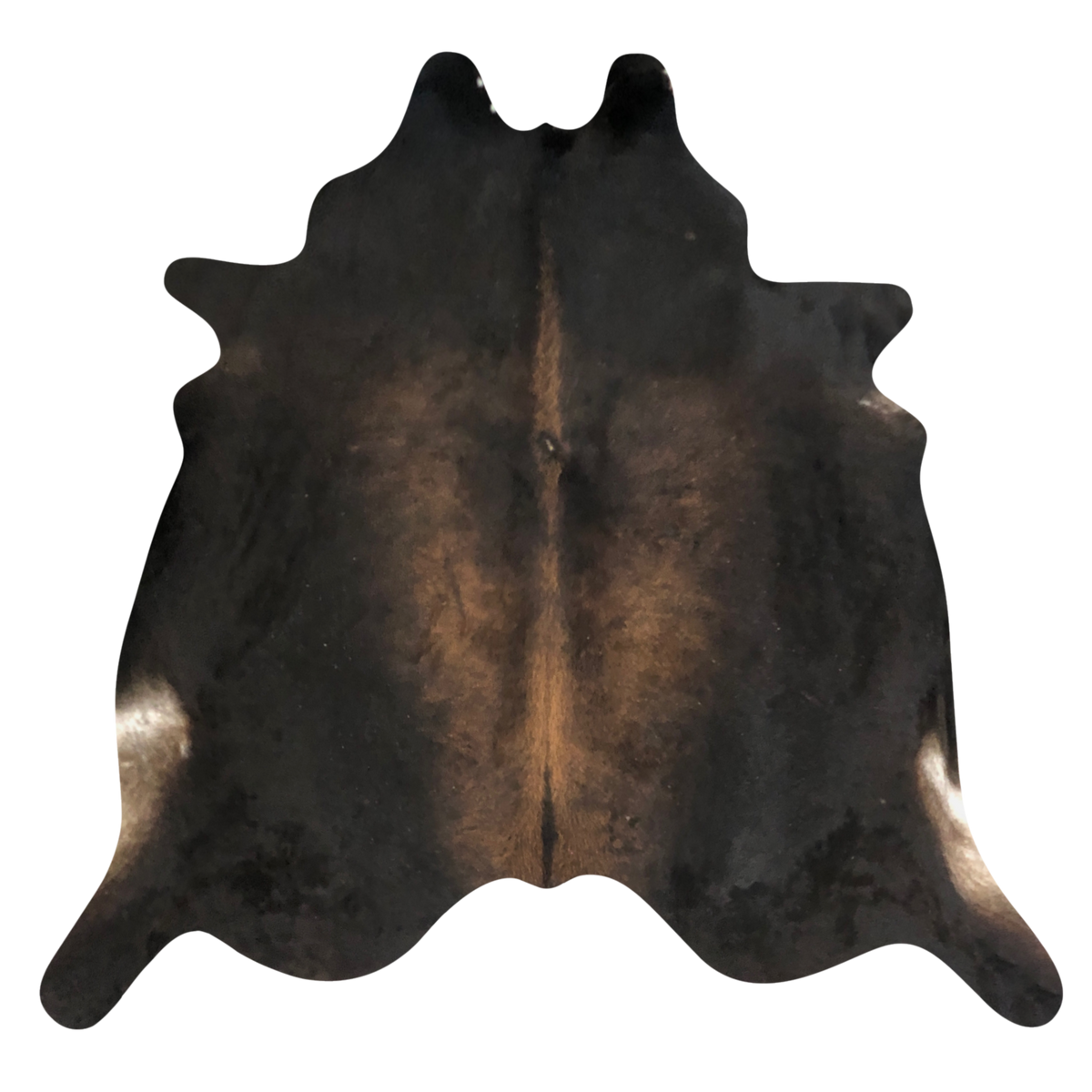 Natural Brazilian cowhide rug in Espresso, Caramel & Ivory with exotic markings, 234 x 250 cm