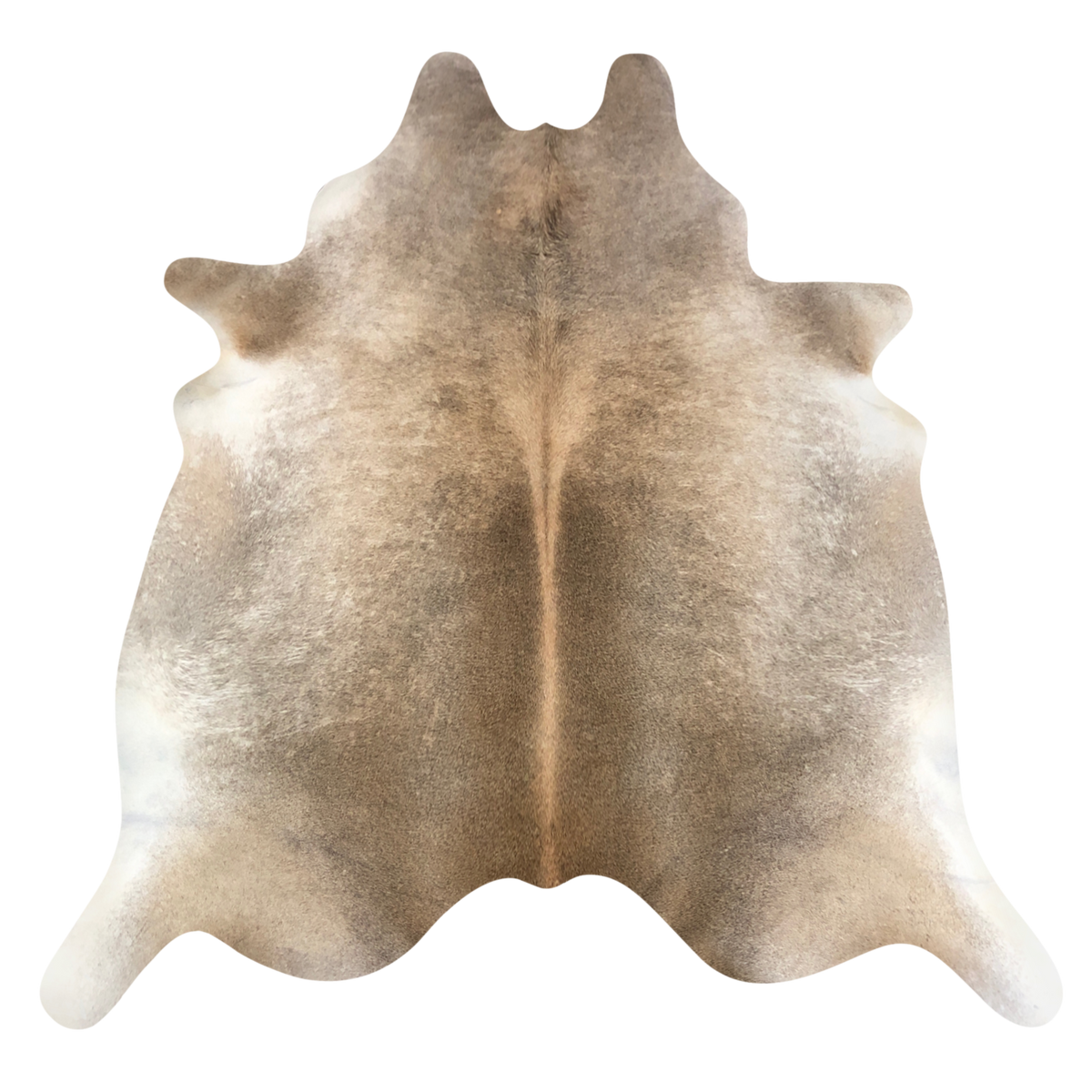 Natural Brazilian cowhide rug in Taupe, Caramel & Ivory with exotic markings, 224 x 240 cm