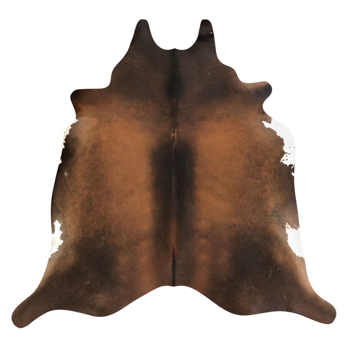 Natural Brazilian cowhide rug in Mocha, Espresso & Ivory with exotic markings, 210 x 244 cm