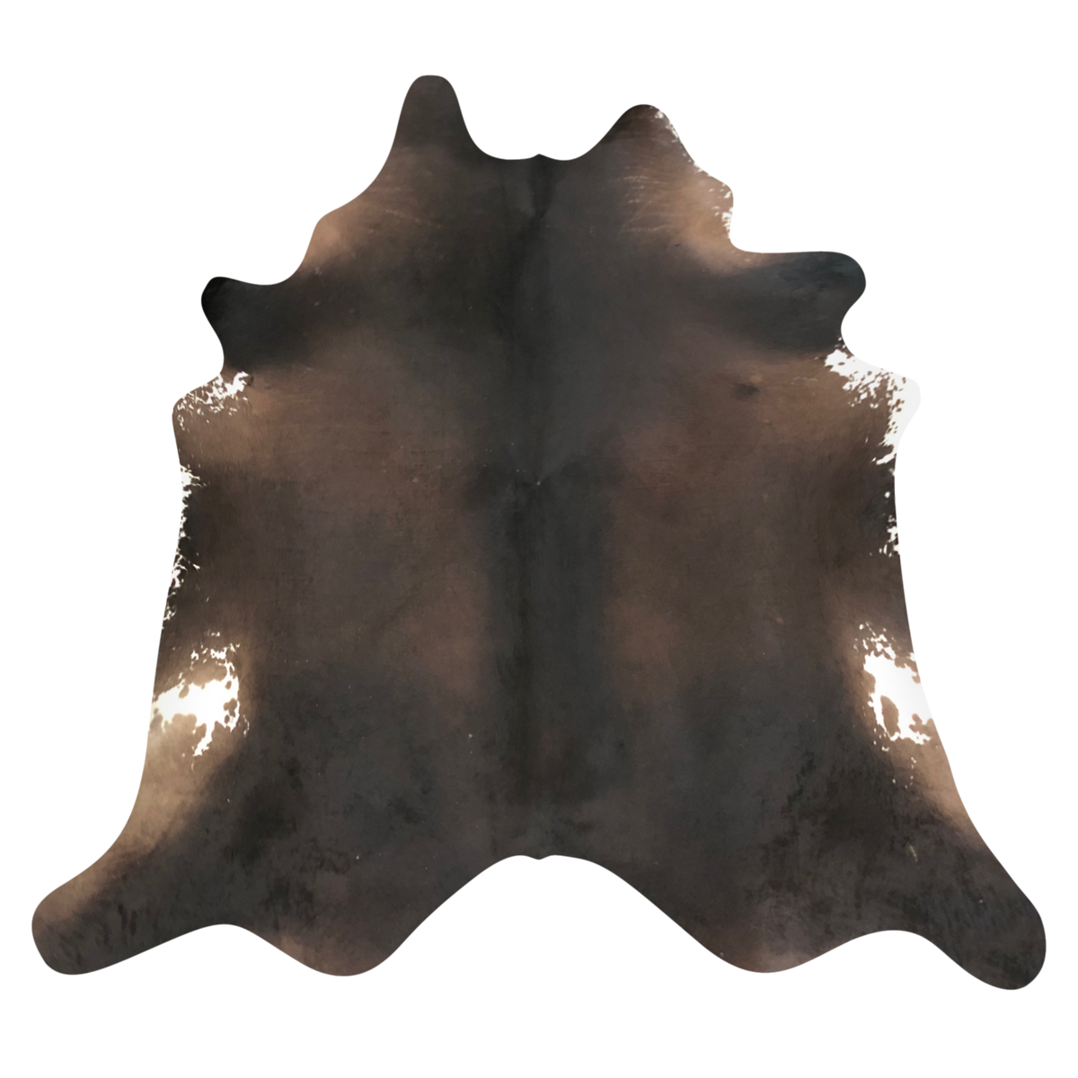 Natural Brazilian cowhide rug in Espresso, Mocha & Ivory with exotic markings, 214 x 232 cm