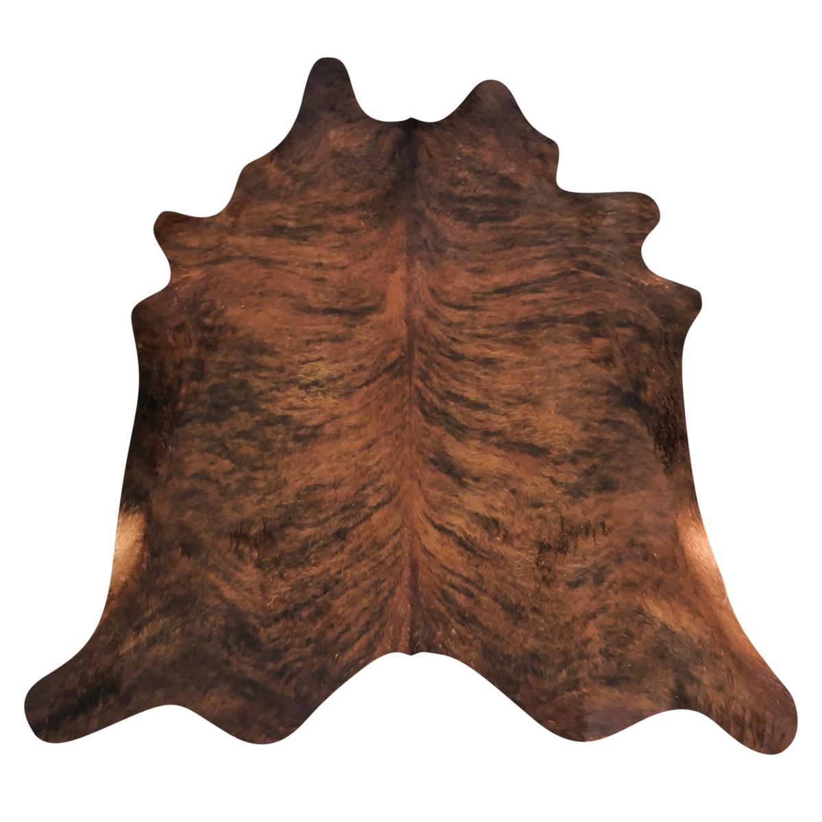 Natural Brazilian cowhide rug in Mocha & Espresso with brindle markings, 210 x 250 cm