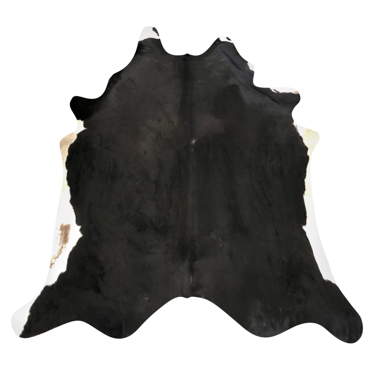 Natural Brazilian cowhide rug in Espresso & Ivory with exotic markings, 222 x 260 cm