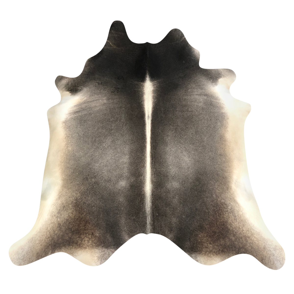 Natural Brazilian cowhide rug in Espresso & Ivory with exotic markings, 218 x 223 cm