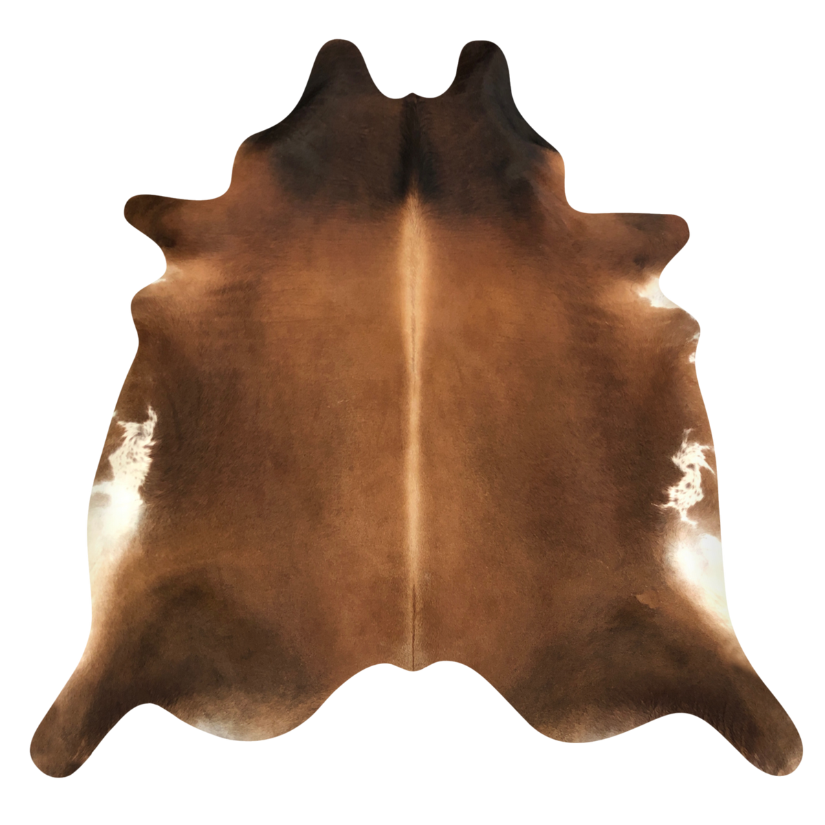 Natural Brazilian cowhide rug in Mocha & Ivory with Exotic markings, 221 x 243 cm