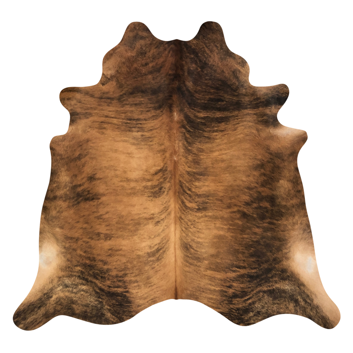 Natural Brazilian cowhide rug in Caramel, Espresso & Ivory with Brindle markings, 205 x 230 cm
