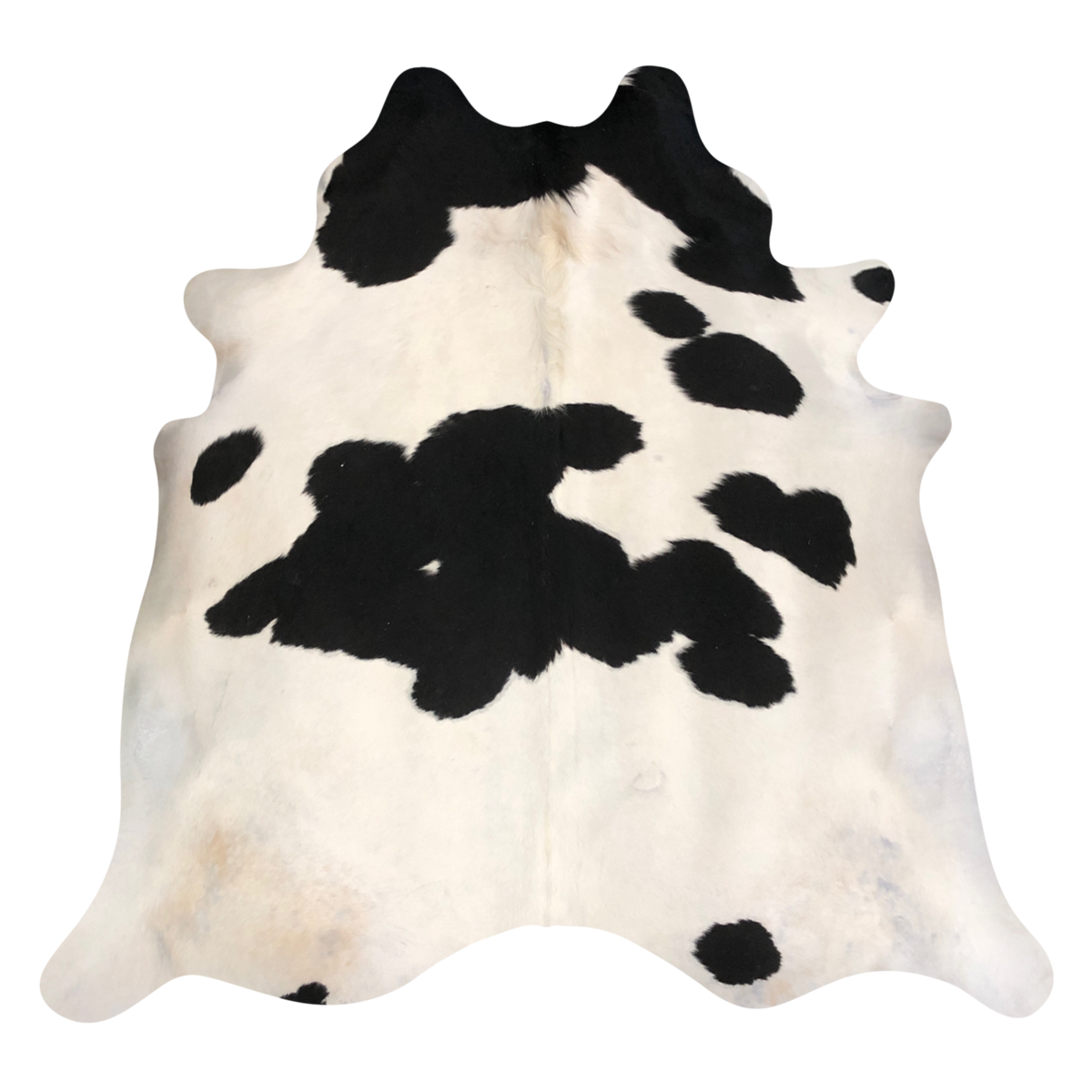 Natural Brazilian cowhide rug in Ivory & Espresso with Exotic markings, 218 x 228 cm
